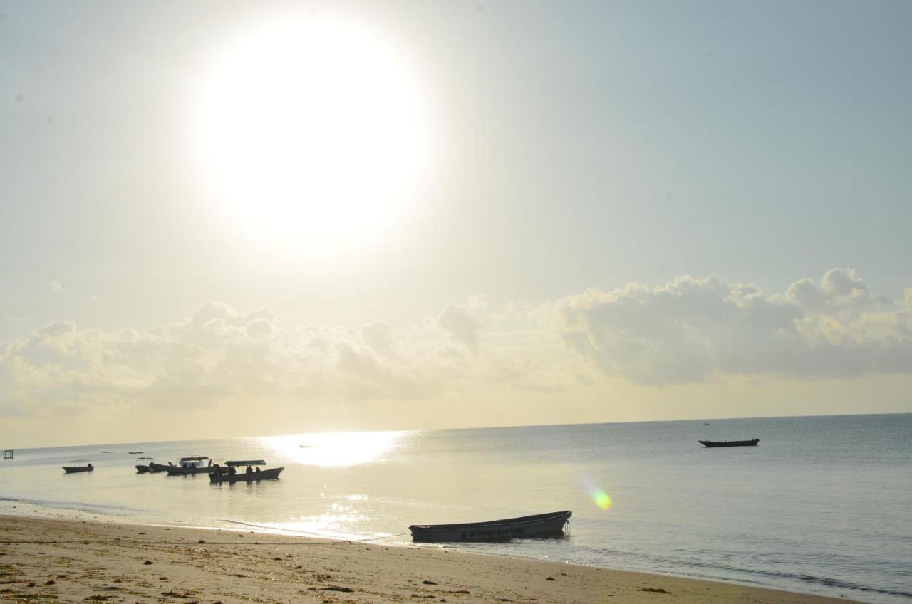 Lui Ushongo Beach House Pangani Exterior foto